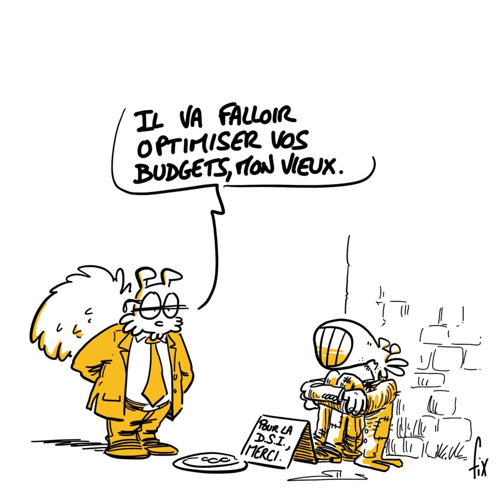 La DSI Cost Killer selon Fix Les Grands Themas